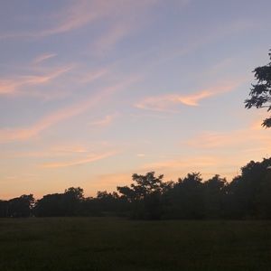 Meet your Posher, Jordyn